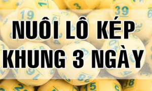 nuôi lô kép khung 3 ngày