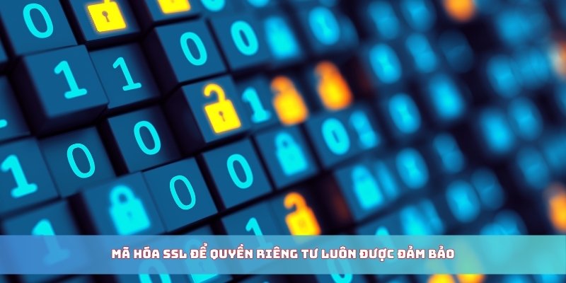 Mã hóa SSL để quyền riêng tư luôn được đảm bảo